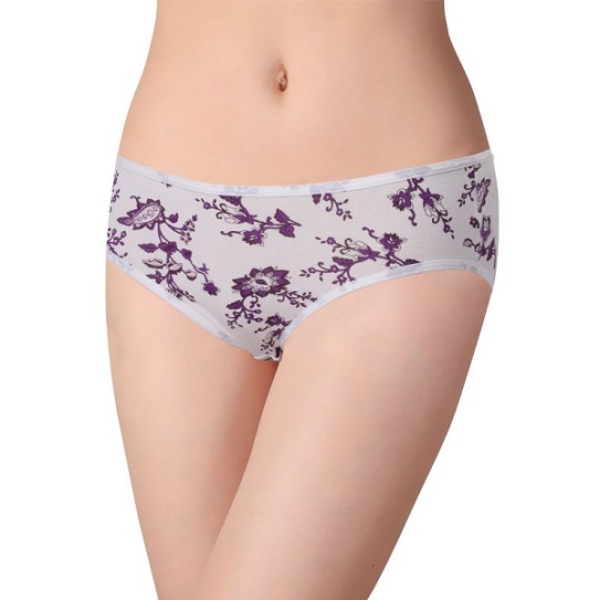 2012-new-free-shipping-women-s-underwear-fashion-printing-wood-fiber-briefs-women-underwear-cotton-for